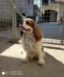 Slika 2