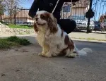 Slika 3