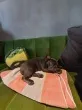 Slika 3
