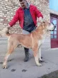 Slika 5