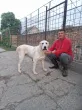 Slika 6
