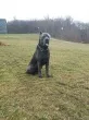 Slika 2