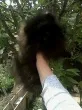 Slika 5