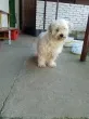 Slika 6