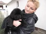 Slika 4