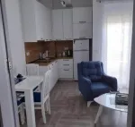 Slika 1