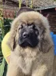 Slika 3