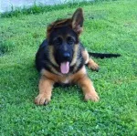 Slika 3