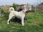 Slika 3