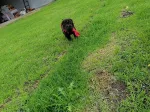 Slika 2