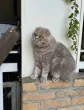 Slika 4