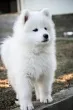 Slika 3