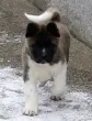 Slika 3