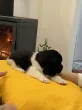 Slika 6