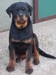 Slika 2