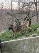 Slika 1