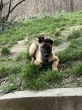Slika 2