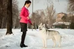 Slika 2