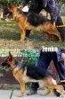 Slika 4