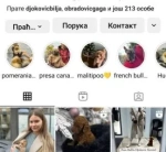 Slika 1