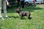 Slika 2