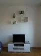 Slika 1