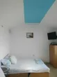 Slika 1