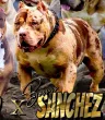 Slika 2