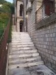 Slika 1