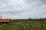 Slika 1