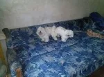 Slika 2