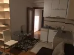 Slika 1