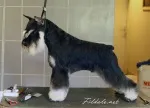 Slika 3