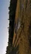 Slika 3