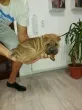 Slika 3
