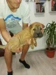 Slika 4