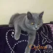 Slika 3