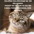 Slika 4