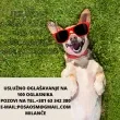 Slika 5
