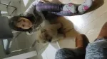 Slika 2