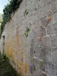Slika 2