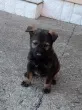 Slika 2