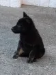 Slika 3