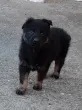 Slika 4