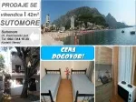 Slika 1