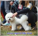 Slika 5