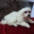 Slika 3