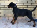 Slika 3