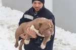 Slika 5