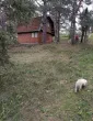 Slika 2